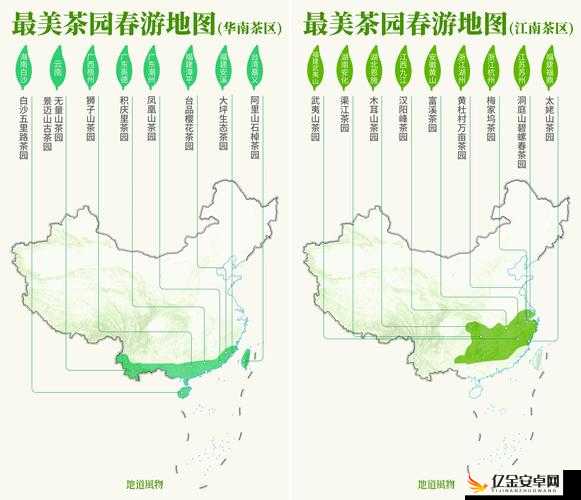 亚洲一线产区二线产区分布：茶叶种植的奥秘