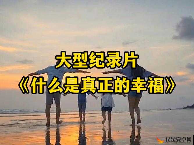 适合夫妻共同观看的经典纪录片：品味生活中的美好与温情